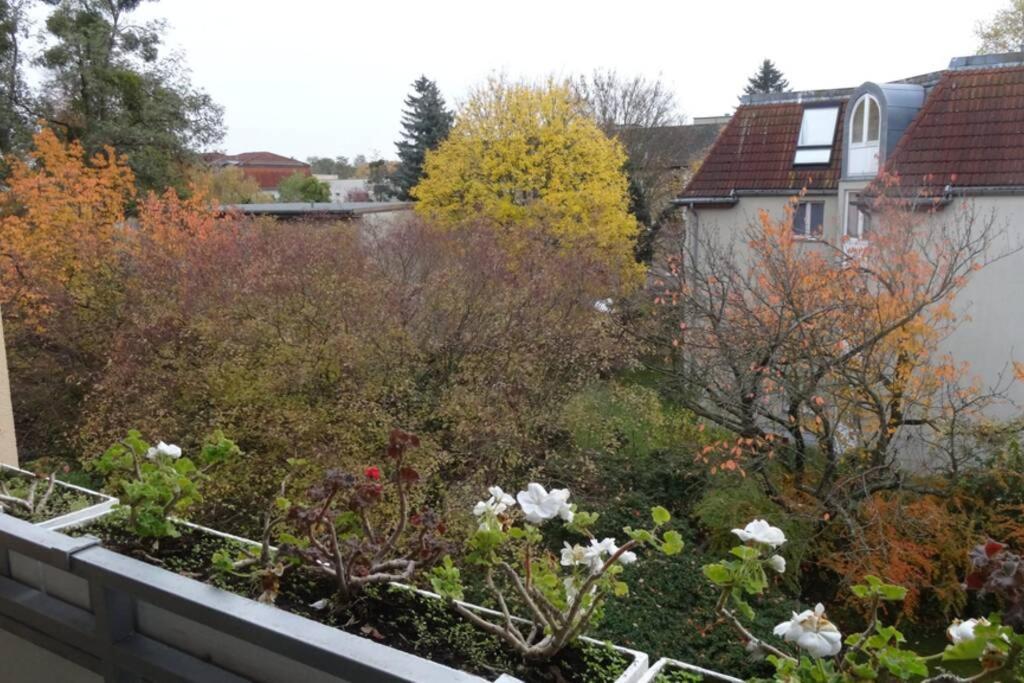 Schoene, Ruhige Wohnung In Berlin-Steglitz מראה חיצוני תמונה
